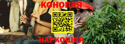 шишки Берёзовский