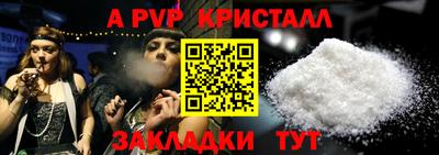 шишки Берёзовский