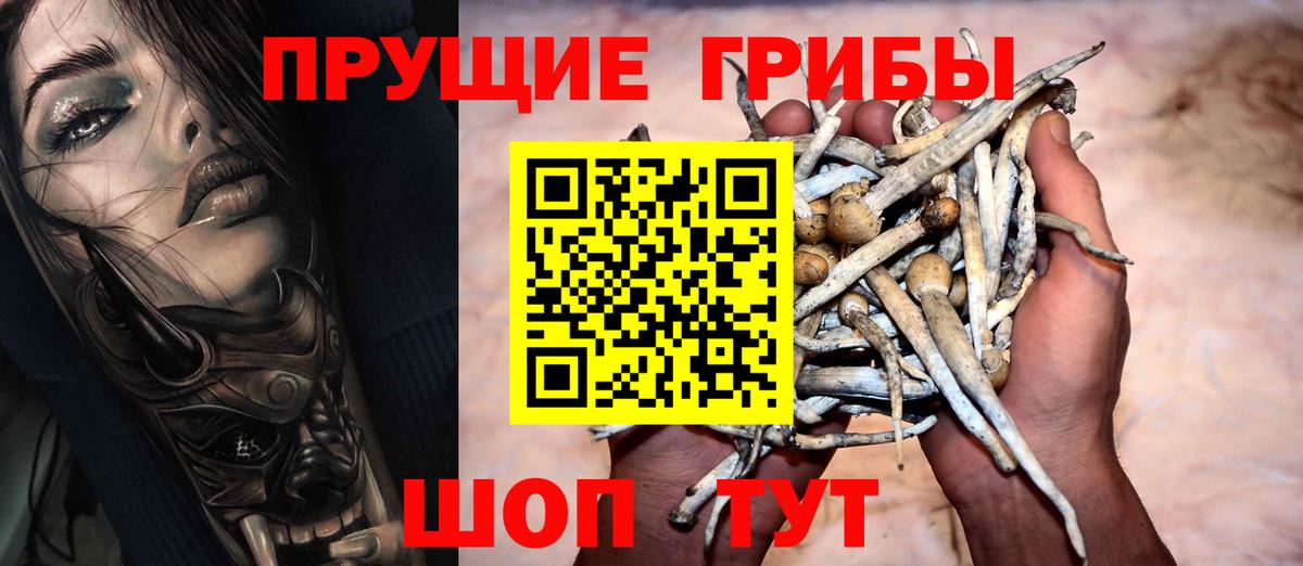 Галлюциногенные грибы мухоморы  Галлюциногенные грибы Psilocybe  хочу наркоту  Вход с VPN  Кинель 