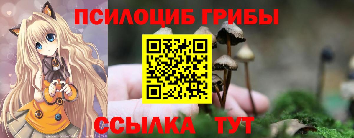 Псилоцибиновые грибы GOLDEN TEACHER Кинель